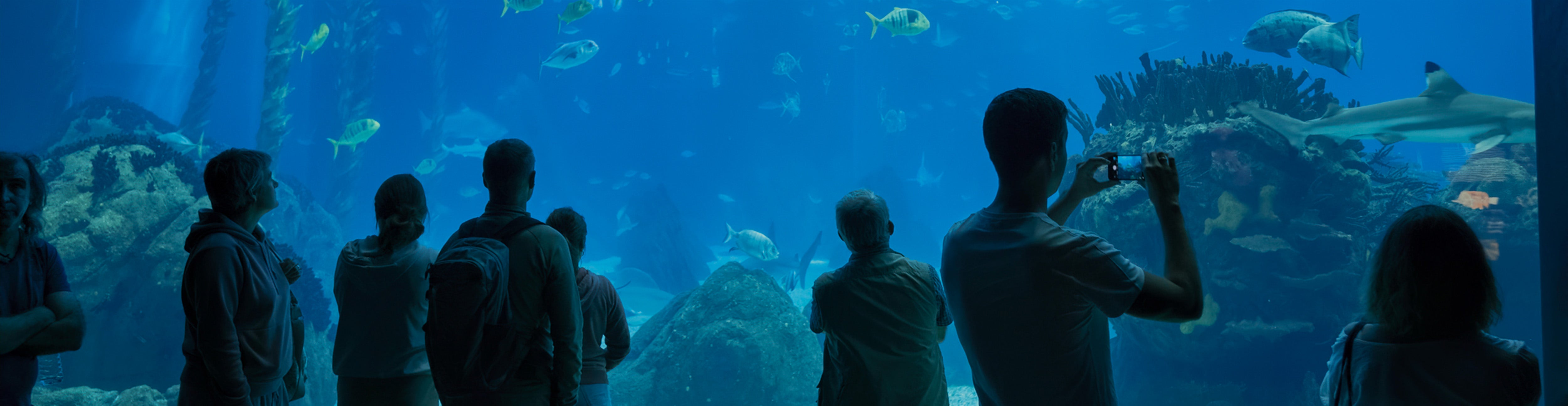 Aquariums